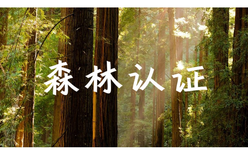 阜陽大可新材料股份有限公司關于開展森林聯合認證的公開承諾