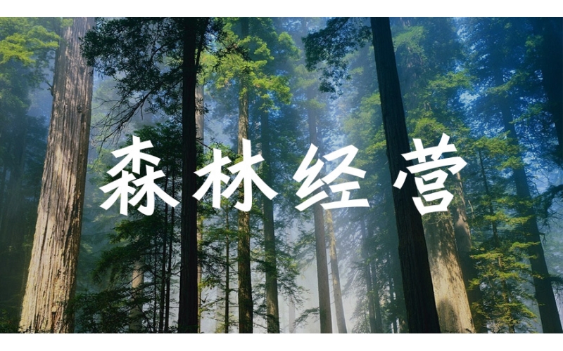 森林經營方案摘要（2022-2031年）